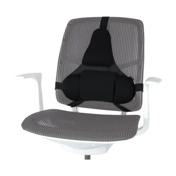 Fellowes Ergonomics professional back support pillow