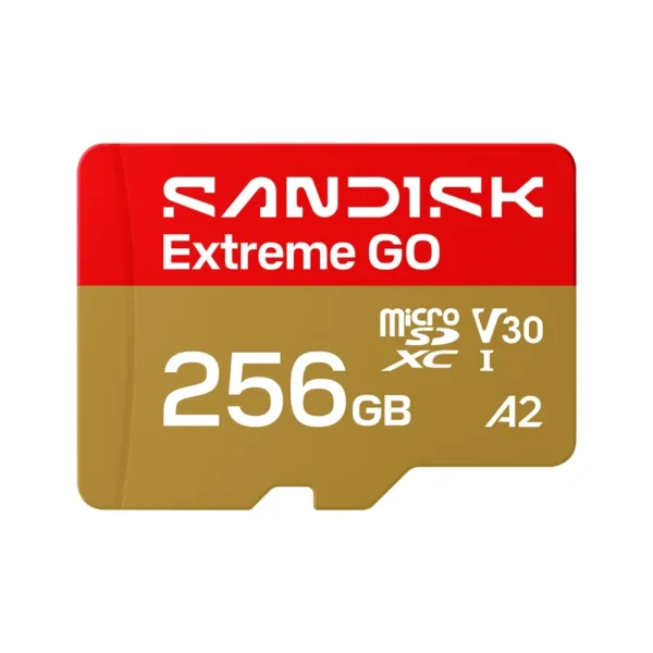 SanDisk Extreme GO 256 GB MicroSDXC UHS-I